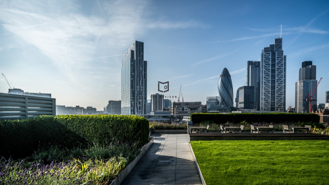 The City of London skyline seen from a roof garden