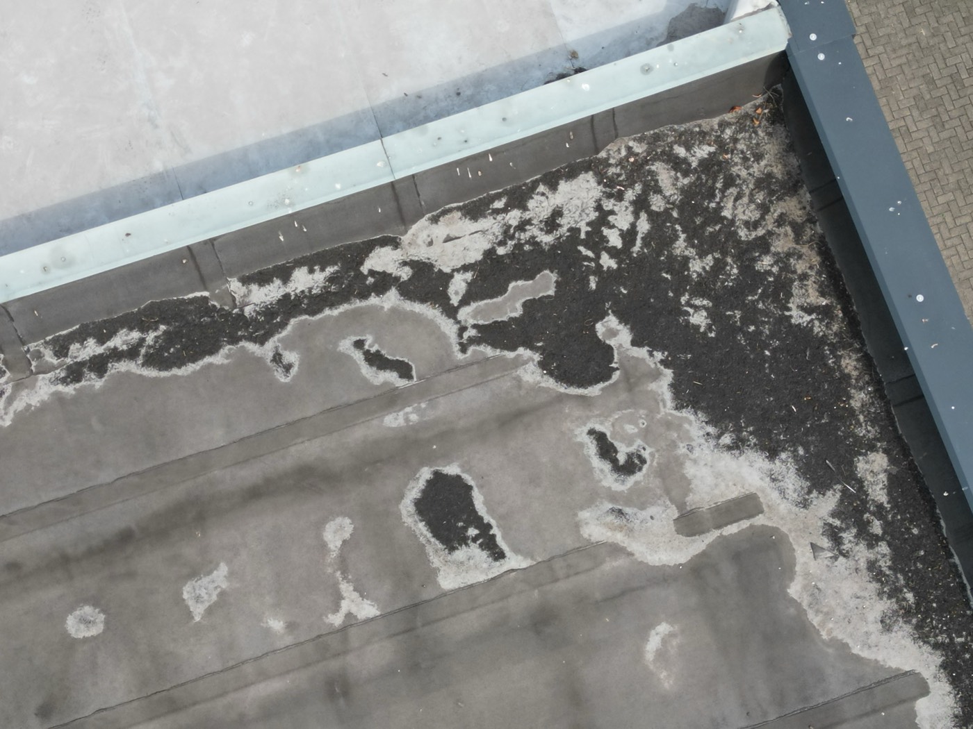 Close-up of a flat roof covering and upstands