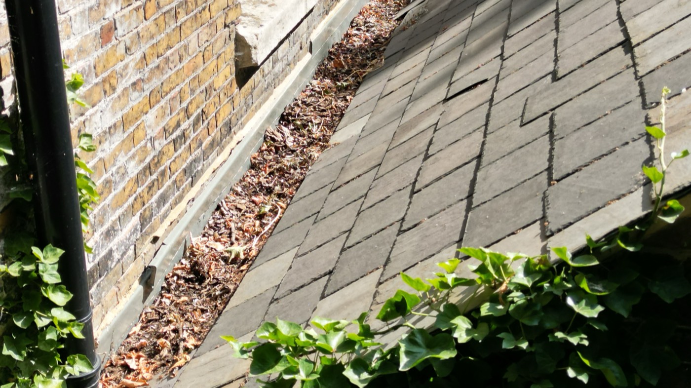 Slates and a gutter photographed at close range